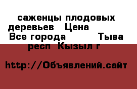 саженцы плодовых деревьев › Цена ­ 6 080 - Все города  »    . Тыва респ.,Кызыл г.